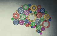 Conceptual image of brain with multicoloured cogs