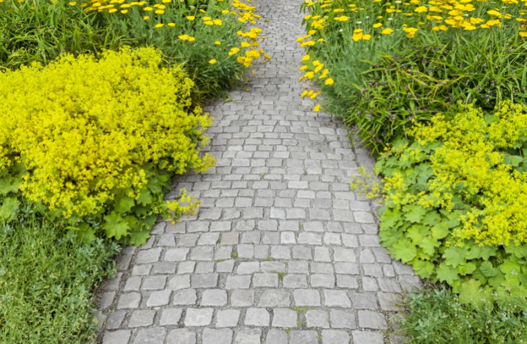 garden with path