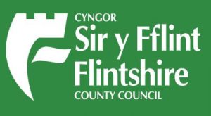 Flintshire County Council: Family Intervention Team (FIT) | Childrens