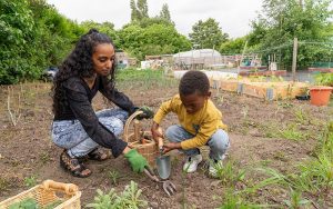 Mother and son gardening in allotment