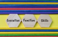 3 wooden hexagons with the words 'executive' 'function' 'skills' with blue, yellow, red and green striped background