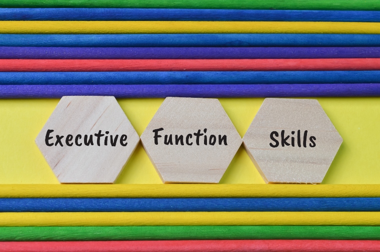 3 wooden hexagons with the words 'executive' 'function' 'skills' with blue, yellow, red and green striped background