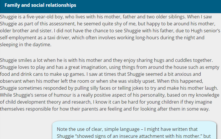 screenshot of completed child and family assessment