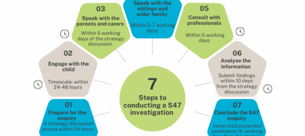 Direct work tool: conducting a Section 47 investigation