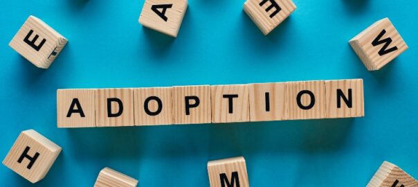 Can a court revoke a validly made adoption order? Re X and Y (Children: Adoption Order: Setting Aside) [2026] UKSC 13