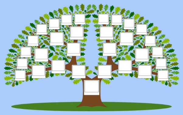 description_of_image_used_in_systemic_practice_piece_family_tree_genogram_d_v_a_fotolia
