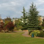 Image of Warwick University's Westwood campus where its social work programmes are based (By Rwendland - Own work, CC BY-SA 3.0, https://commons.wikimedia.org/w/index.php?curid=16935387)