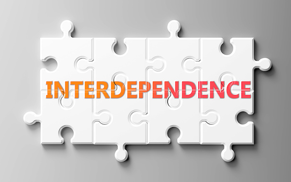 Image of interlocking jigsaw labelled 'interdependence' (credit: GoodIdeas / Adobe Stock)