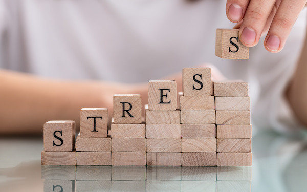 Image of wooden blocks spelling out 'stress' (credit: Andrey Popov / Adobe Stock)