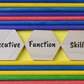 Wooden hexagon with text EXECUTIVE FUNCTION SKILLS