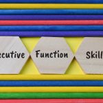 Wooden hexagon with text EXECUTIVE FUNCTION SKILLS