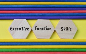 Wooden hexagon with text EXECUTIVE FUNCTION SKILLS