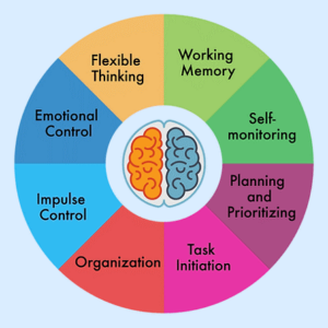 A wheel illustrating the different aspects of executive functioning