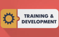 The words 'training & development' next to a cog