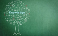 Tree of knowledge education concept on green chalkboard background with doodle