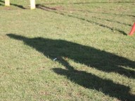 Adult and child shadow